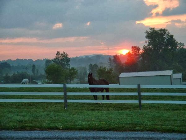 Shooting Star Farm
