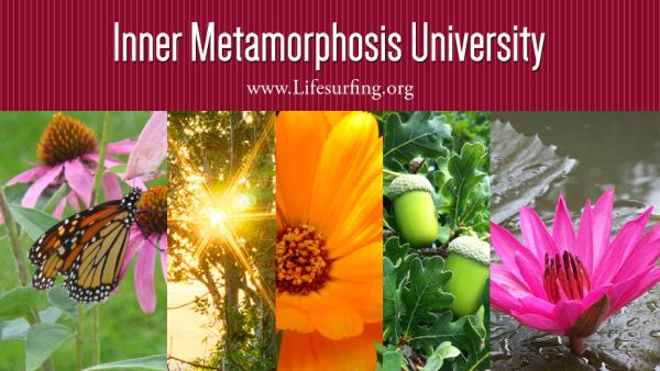 Inner Metamorphosis University (Imu)