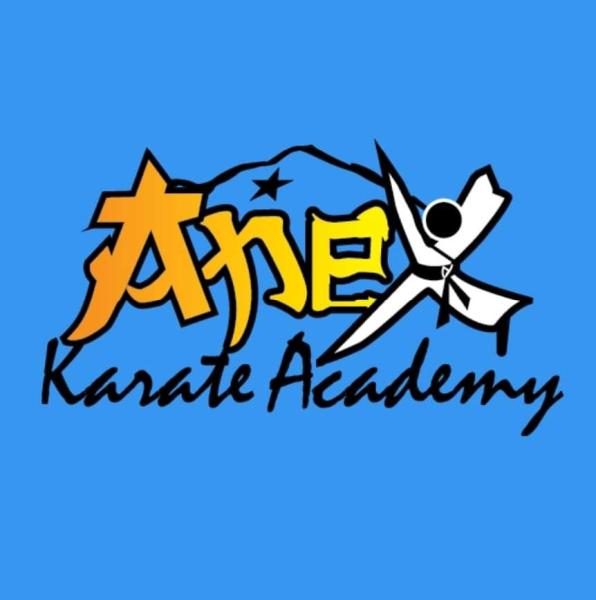 Apex Karate Academy