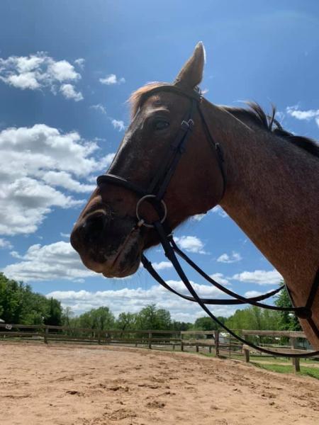 Saddle Time