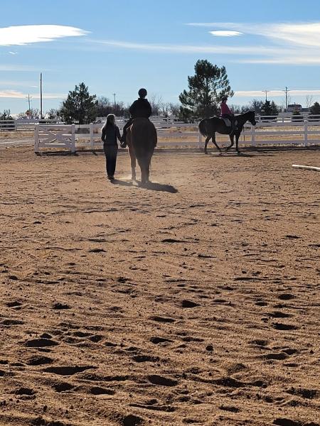 Morelli Ranch and Stables