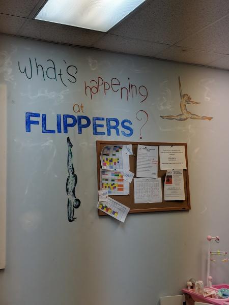 Flipper's Gymnastics
