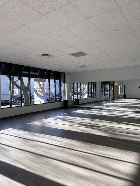 Xeno-Animals Dance Studio