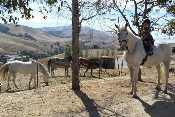 Mission Hills Equestrian Center