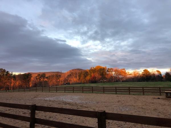 Winsome View Farm
