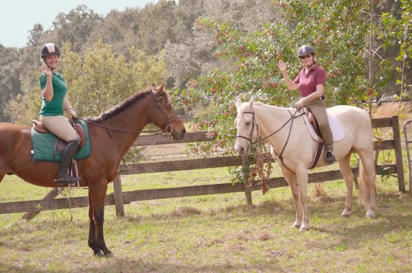 Turning Leaf Farm Hunter Jumper Horses