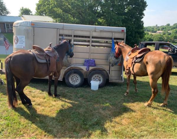 Canterbury Tails Farm