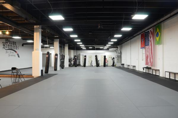 Shawn Hammonds Jiu Jitsu Academy