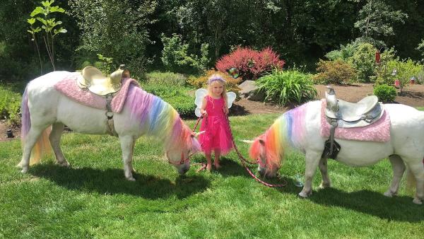 Dreamland Ponies