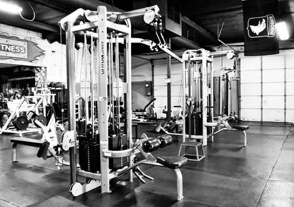 Shookfitness