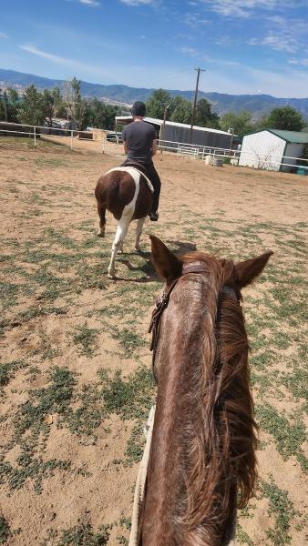 Cottonwood Riding Club