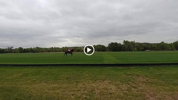 Cottonwood Riding Club