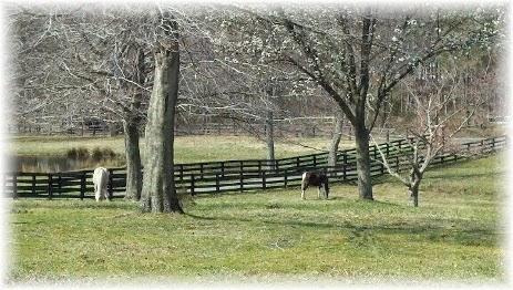 Brentsville Stables