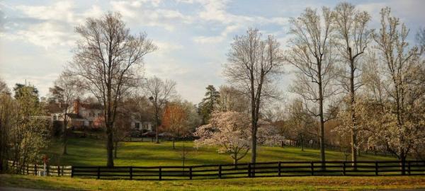 Brentsville Stables