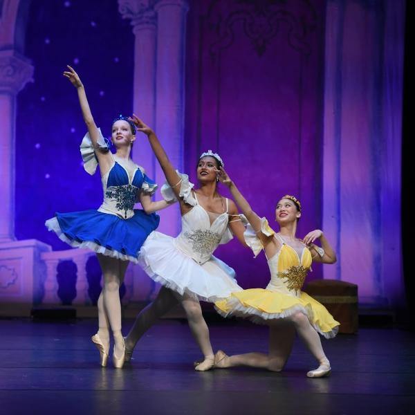 Ballet Theatre of Carmel Academy