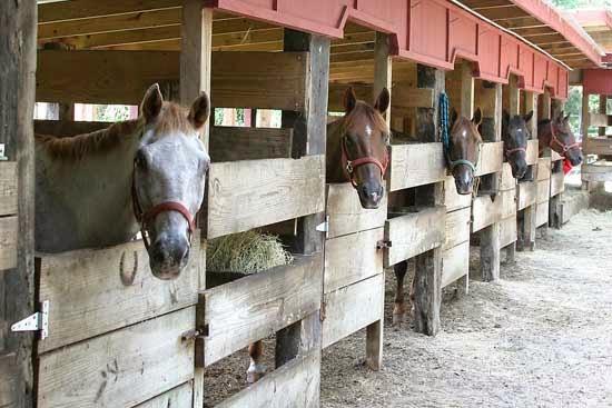 Newmark Horse Country Land & Stables