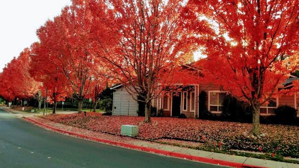 Tice Creek Fitness Center at Rossmoor