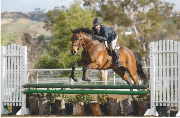 Cornerstone Equestrian Center