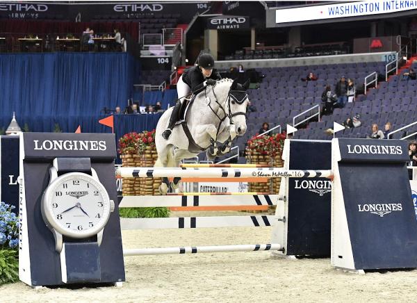 Equine Odyssey