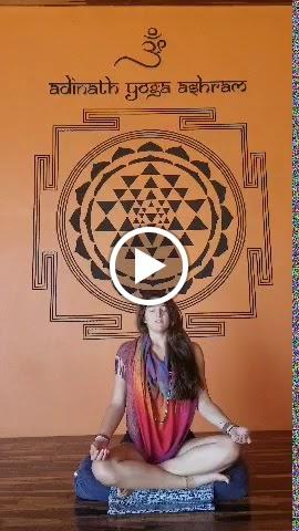 Manifesting Moksha Online Yoga Studio