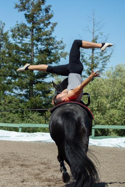 Shadow Hills Vaulting Club