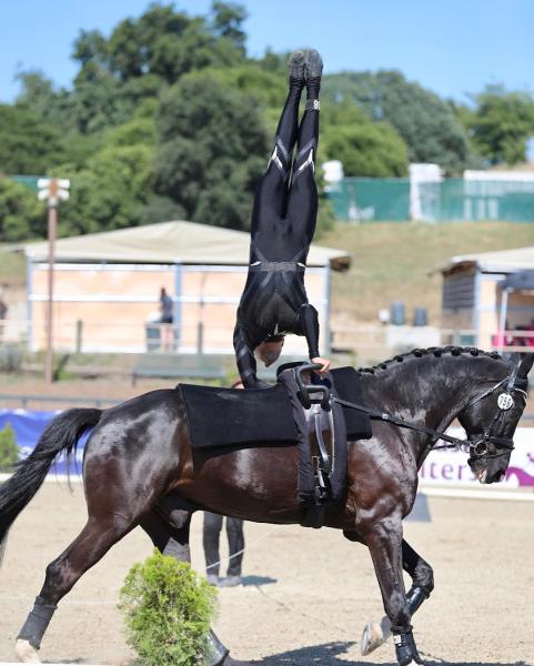 Shadow Hills Vaulting Club