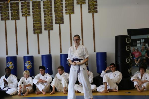 Twinsburg Karate Institute (Tki)