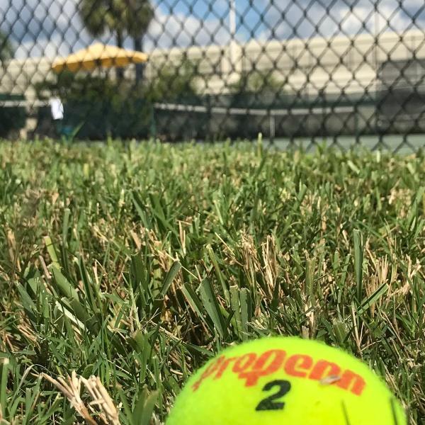 Gigi Fernandez Tennis