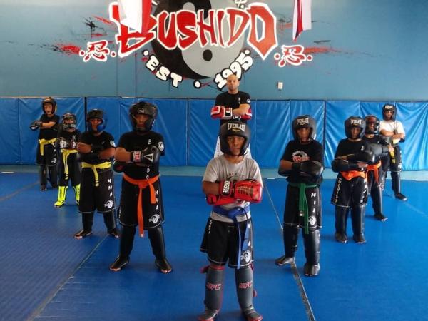 Bushido MMA and BJJ Academy