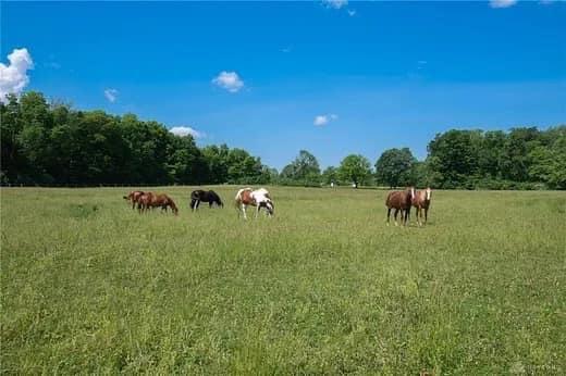 Sunny Sugarcreek Stables