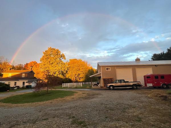 Sunny Sugarcreek Stables