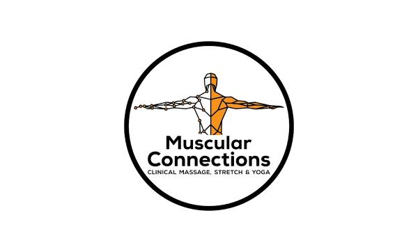 Muscular Connections