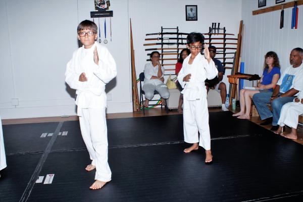 Japanese Martial Arts Academy