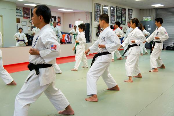 USA Wado Ryu Karate