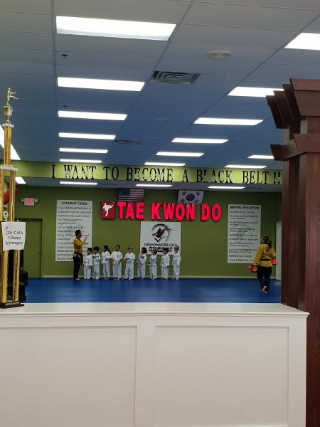 Grandmaster Lee's Taekwondo