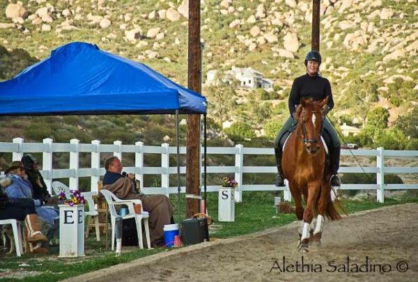 Peppertree Farms