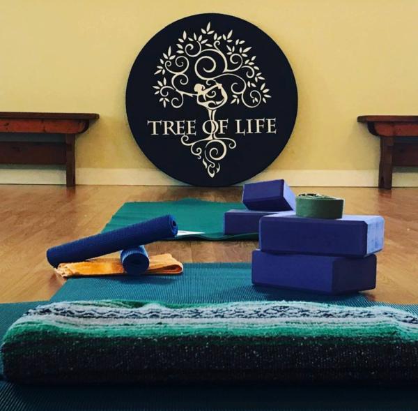 Tree of Life Yoga Studio