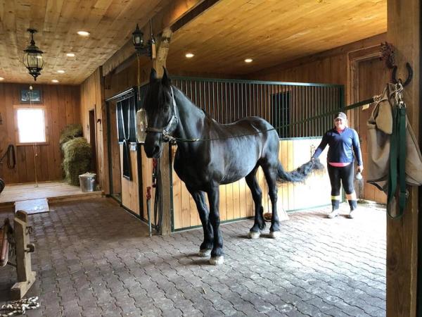 Blue Sky Equestrian Stables
