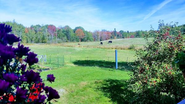 Wild Iris Farm In Bar Harbor Me