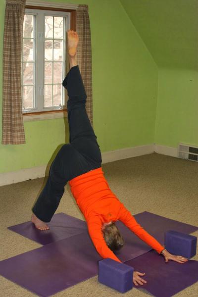 Triyoga Chicago-Hyde Park