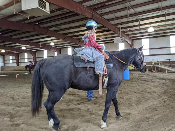 Horses Spirits Healing