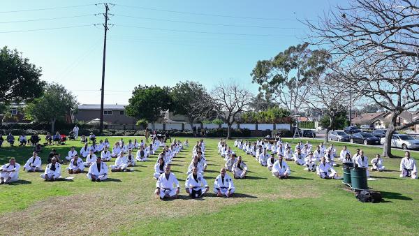 REV Jiujitsu and Fitness