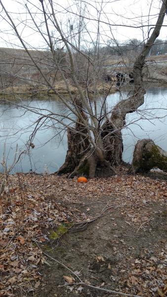 Cross Court Tennis Club