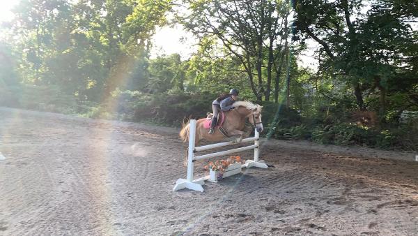 Clarksburg Equestrian Center