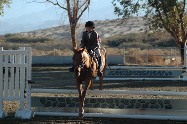 Eclipse Equestrian