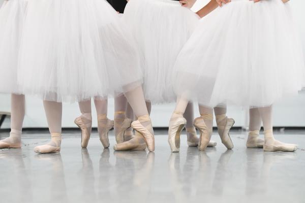 The Loudoun School of Ballet