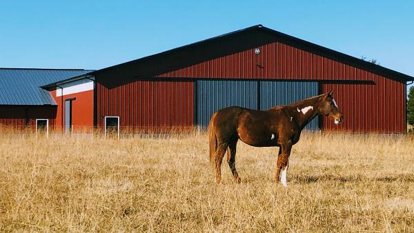 Grit & Grace Ranch