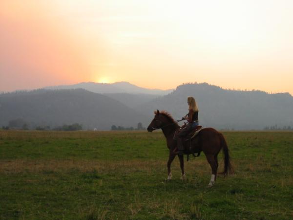 Flying H Ranch/Beierle Equestrian Services