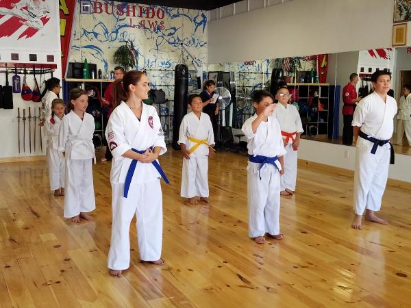United Kenpo Karate Academy