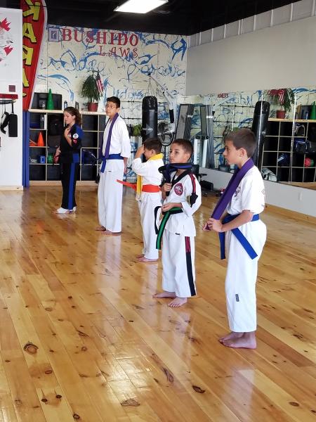 United Kenpo Karate Academy
